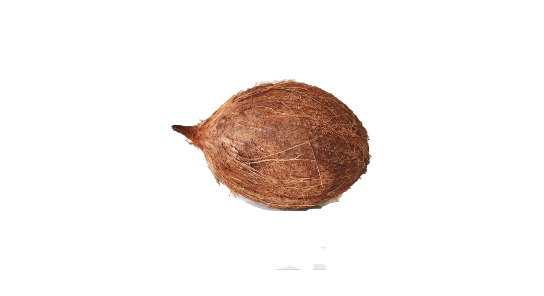 Coconut Local Per Piece