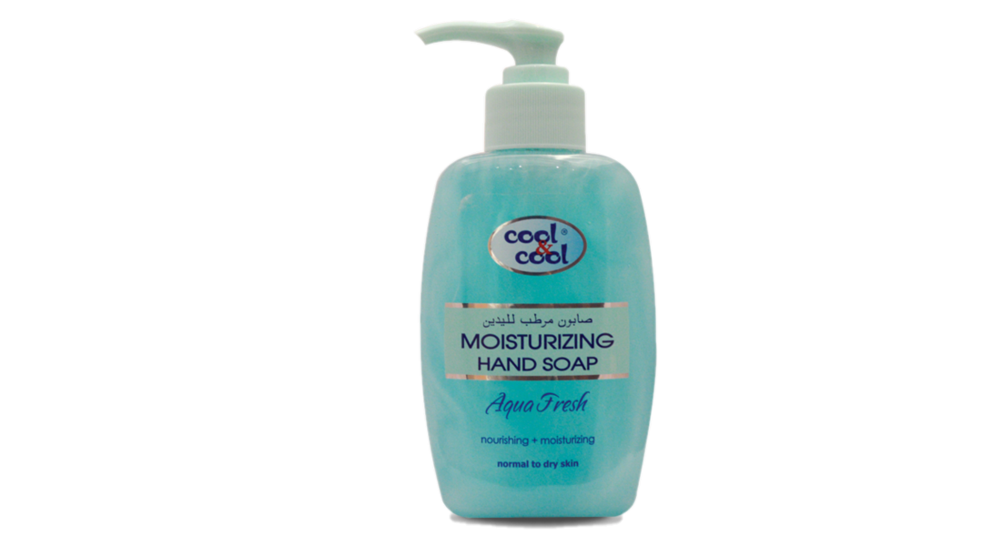 Cool & Cool Moisturizing Hand Soap Aqua Fresh 250ml