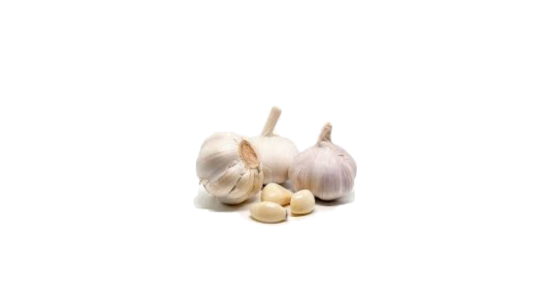 China Garlic Fresh Per Kg