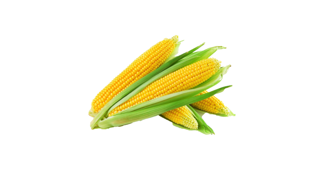 Sweet Corn Per Kg